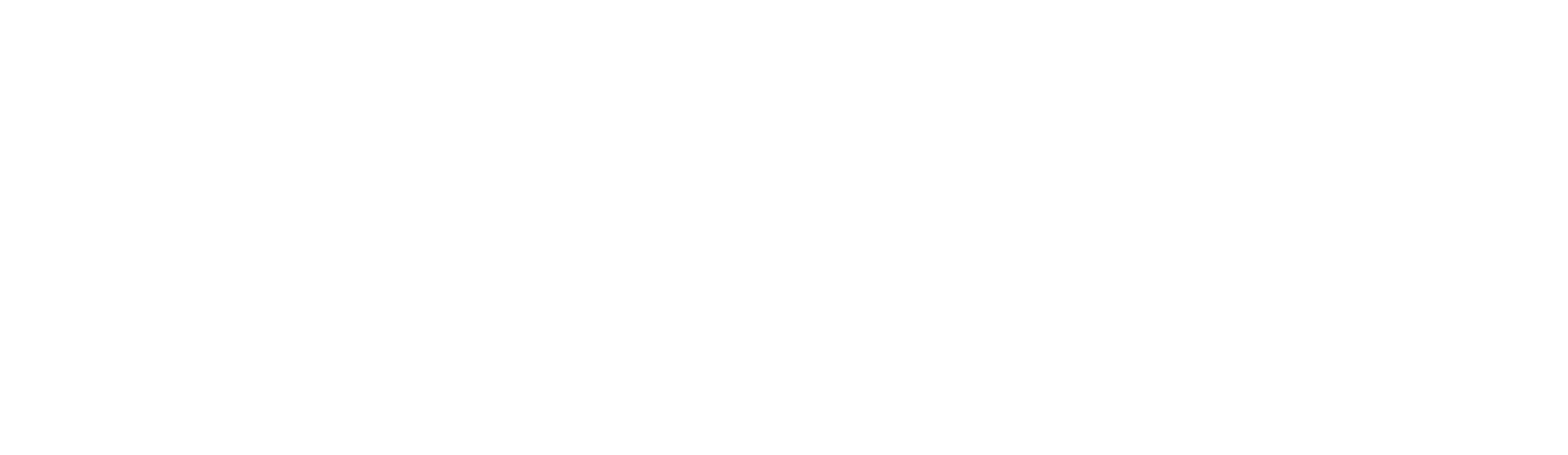 Ameri